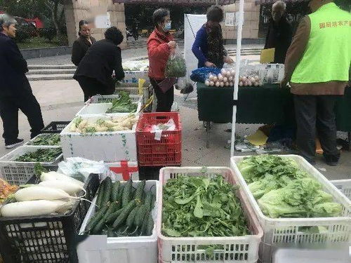 便捷與實(shí)惠并行 高品質(zhì)農(nóng)產(chǎn)品進(jìn)社區(qū)，守護(hù)市民餐桌健康